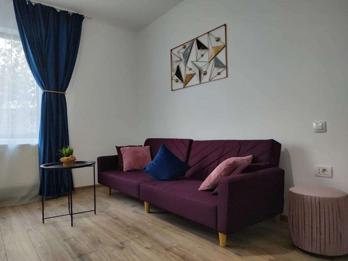 Dania&Petru Residence Tîrgu Ocna 外观 照片
