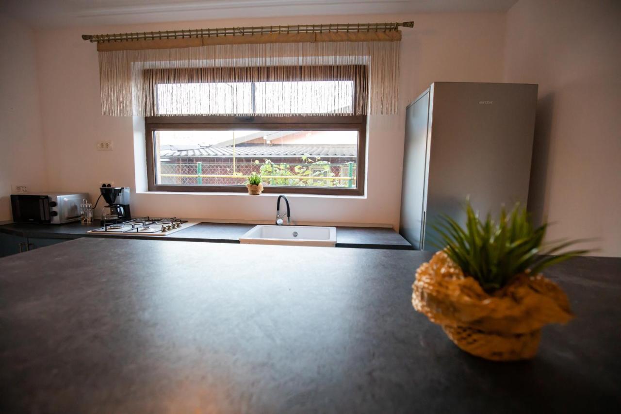 Dania&Petru Residence Tîrgu Ocna 外观 照片